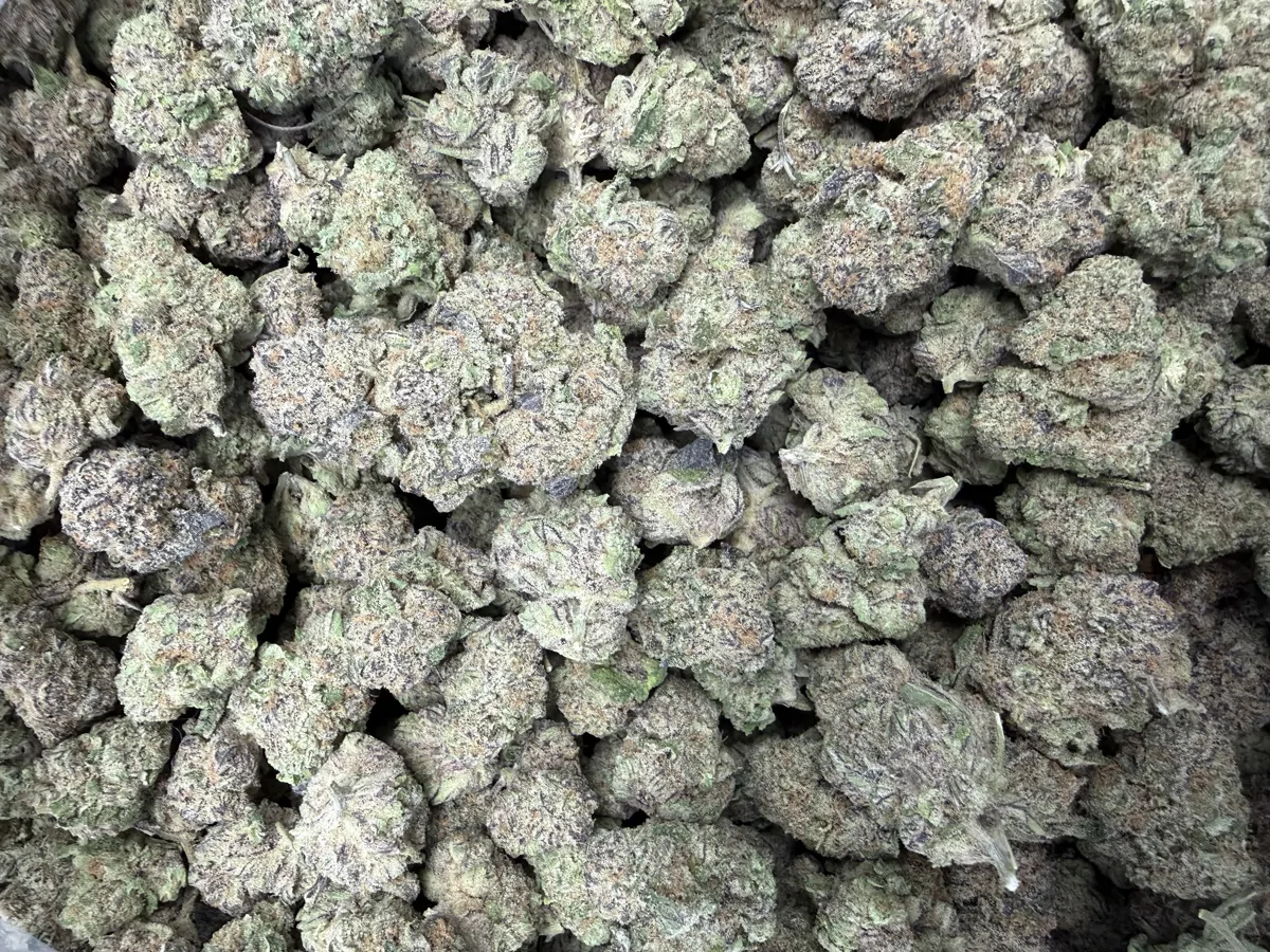 Grape Stomper Packaged Flower